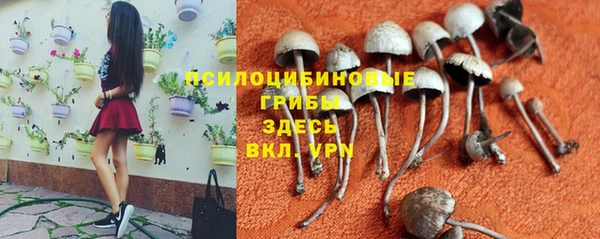 прущие крисы Абаза