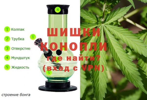 прущие крисы Абаза